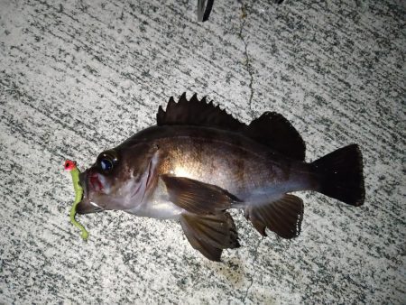 メバリングリベンジ